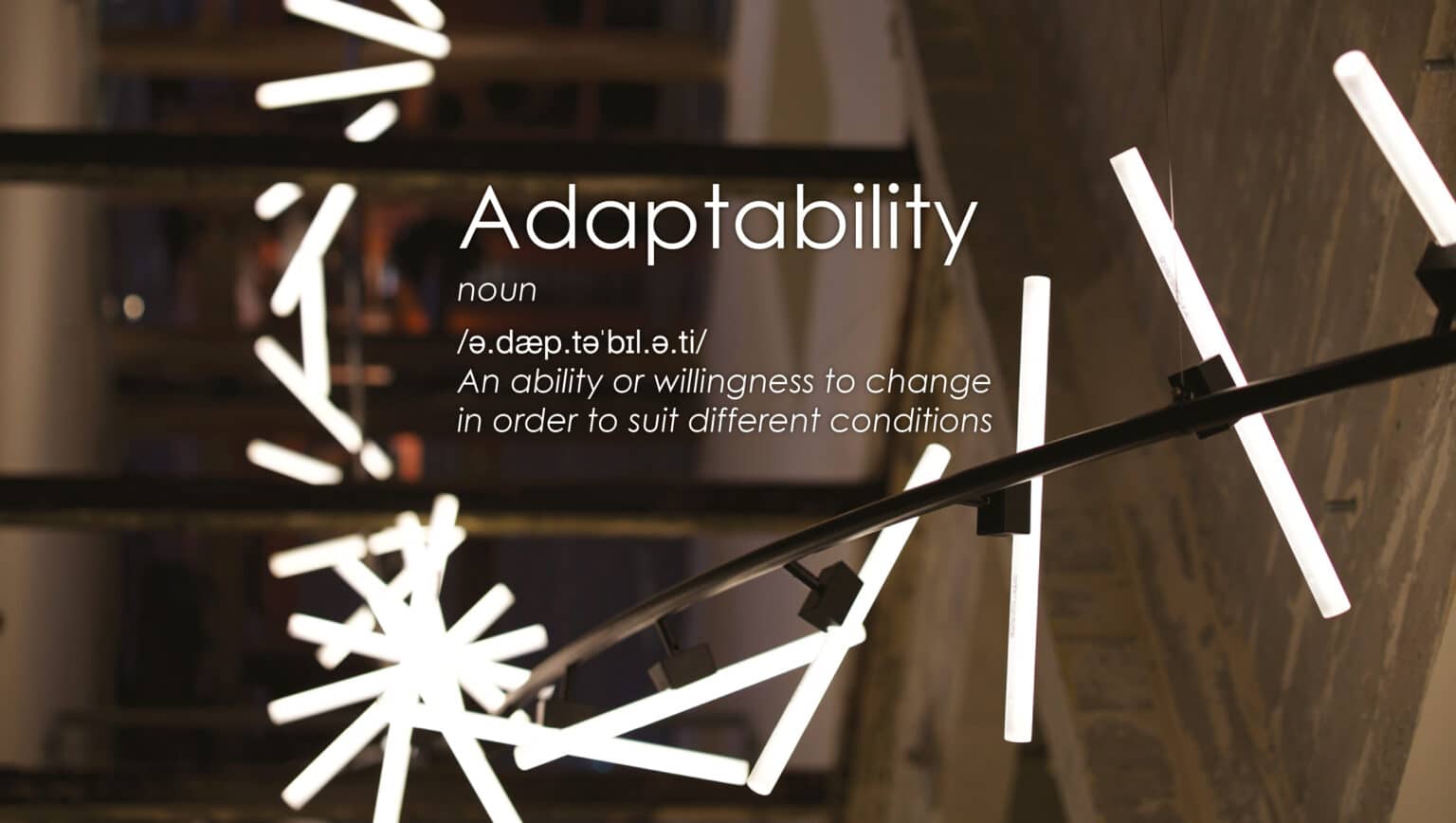 Adaptability, RUBN